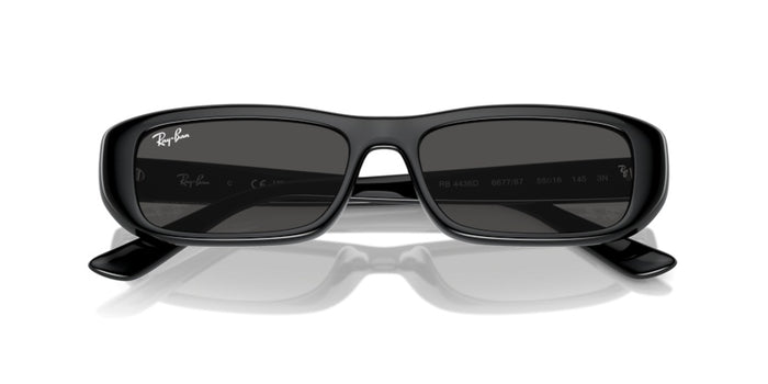 Sunglasses Ray-Ban RB4436D 667787 55 16 — vista 4