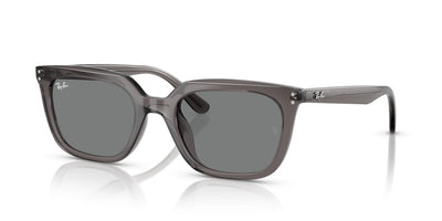Sunglasses Ray-Ban RB4439D 667587 54 21