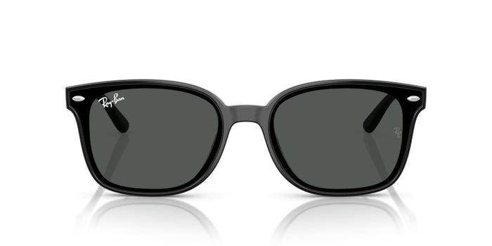 Sonnenbrillen Ray-Ban RB4461D 601/87 64 17 — vista 2