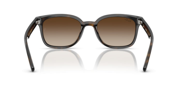 Gafas de Sol Ray-Ban RB4461D 710/13 64 17 — vista 6