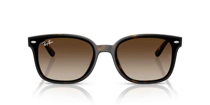 Gafas de Sol Ray-Ban RB4461D 710/13 64 17 — vista 2