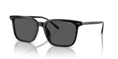 Gafas de Sol Polo Ralph Lauren PH4194U 500187 56 18