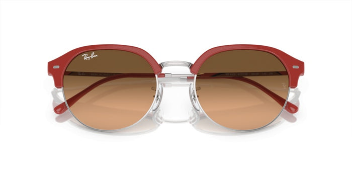 Gafas de Sol Ray-Ban RB4429 67223B 55 20 — vista 6