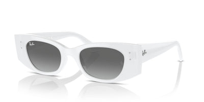 Sunglasses Ray-Ban Kat RB4427 675911 49 20