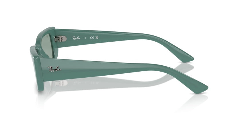 Gafas de Sol Ray-Ban Teru RB4425 676282 54 17