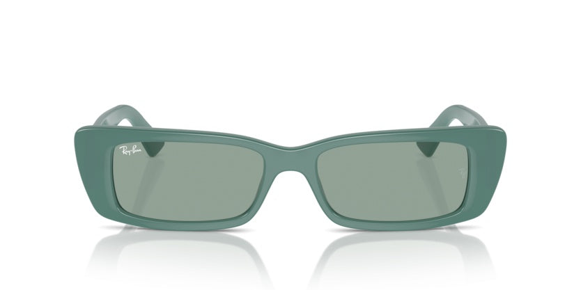 Gafas de Sol Ray-Ban Teru RB4425 676282 54 17