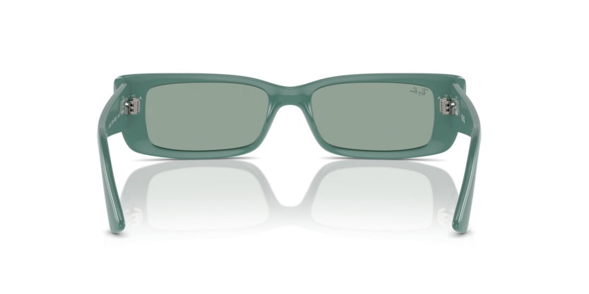 Gafas de Sol Ray-Ban Teru RB4425 676282 54 17