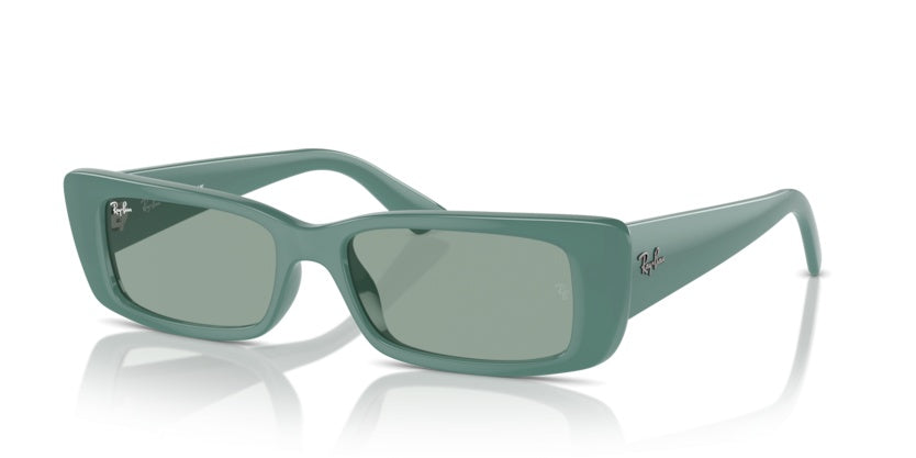 Gafas de Sol Ray-Ban Teru RB4425 676282 54 17