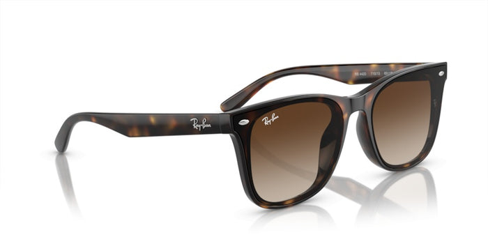 Sonnenbrillen Ray-Ban RB4420 710/13 65 18 — vista 6