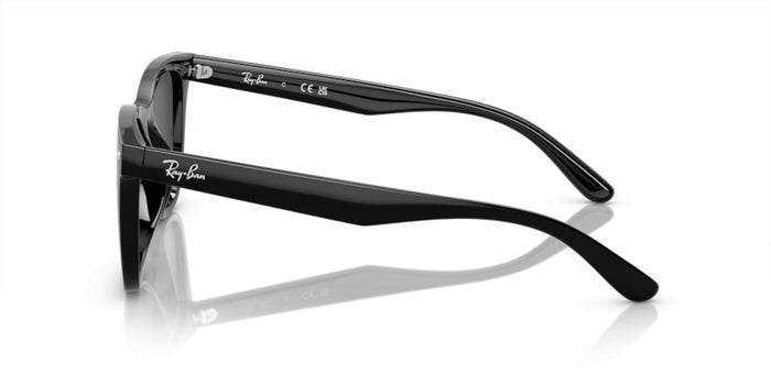 Sonnenbrillen Ray-Ban RB4420 601/87 65 18 — vista 3