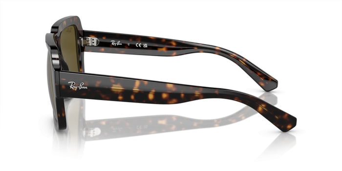 Sunglasses Ray-Ban Magellan RB4408 135973 54 19 — vista 3