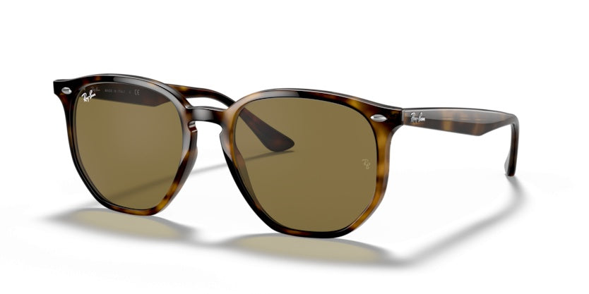 Sunglasses Ray-Ban RB4306 710/73 54 19