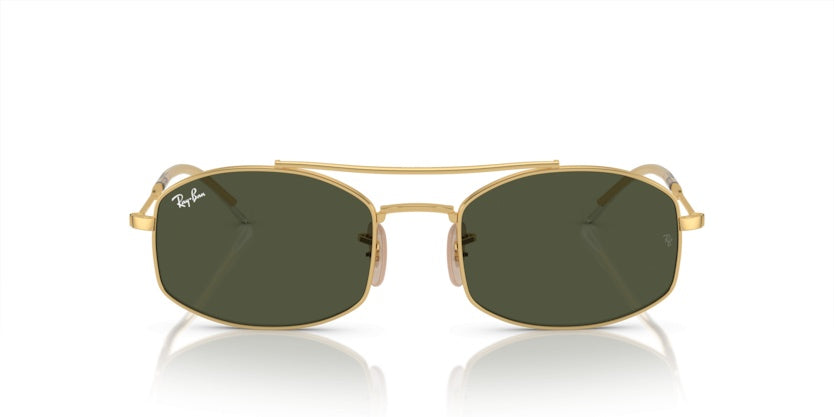 Gafas de Sol Ray-Ban RB3719 001/31 54 20