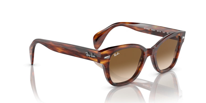 Gafas de Sol Ray-Ban RB0880S 954/51 52 19