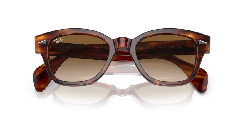 Gafas de Sol Ray-Ban RB0880S 954/51 52 19