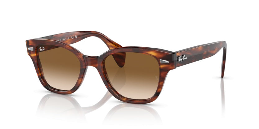 Gafas de Sol Ray-Ban RB0880S 954/51 52 19