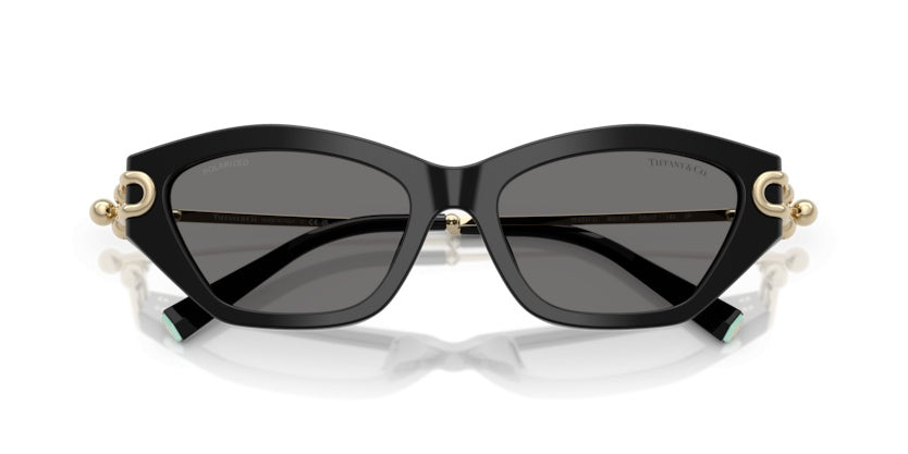 Gafas de Sol Tiffany&Co TF4231U 800181 53 17