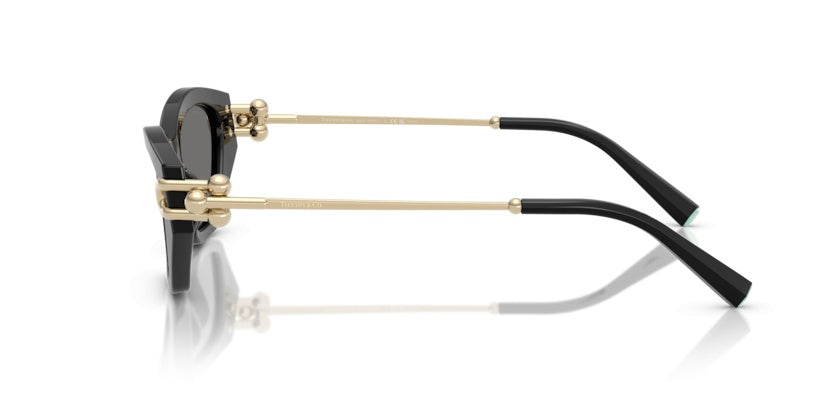 Gafas de Sol Tiffany&Co TF4231U 800181 53 17