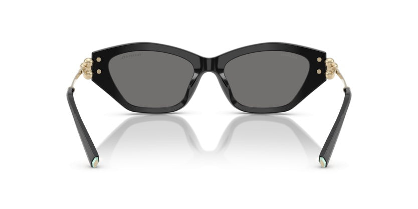 Gafas de Sol Tiffany&Co TF4231U 800181 53 17