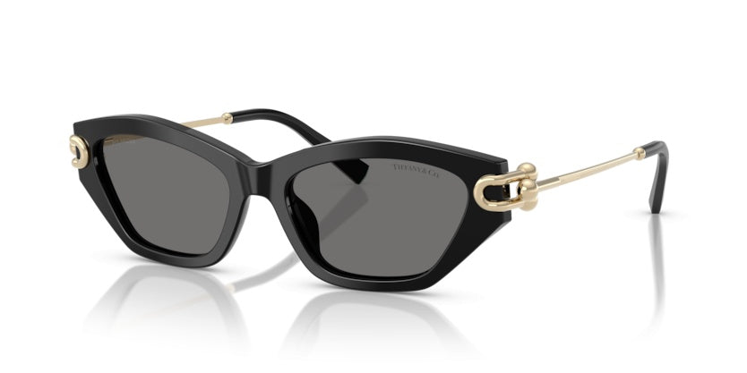 Sunglasses Tiffany&Co TF4231U 800181 53 17
