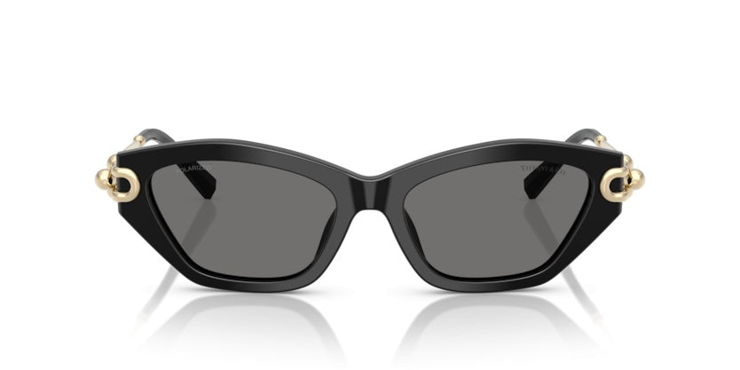 Gafas de Sol Tiffany&Co TF4231U 800181 53 17