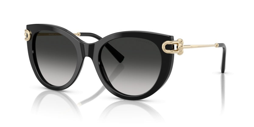 Lunettes de Soleil Tiffany&Co TF4232 80013C 53 19