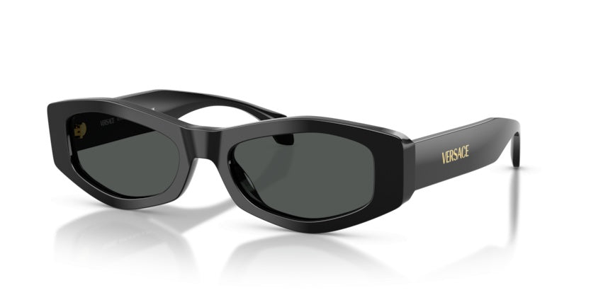 Sunglasses Versace VE4487 GB1/87 54 19