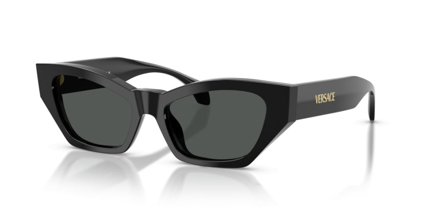 Sunglasses Versace VE4488U GB1/87 53 17