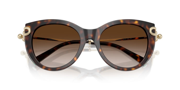 Sonnenbrillen Tiffany&Co TF4232 80153B 53 19 — vista 5