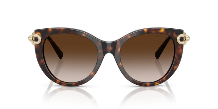 Sonnenbrillen Tiffany&Co TF4232 80153B 53 19 — vista 2