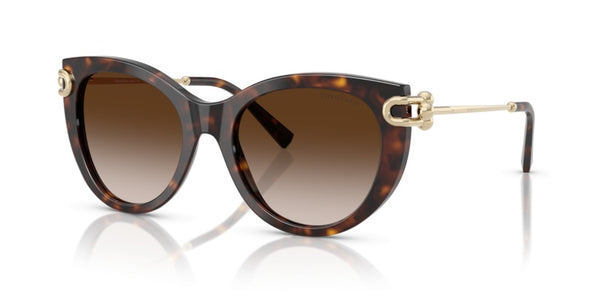 Gafas de Sol Tiffany&Co TF4232 80153B 53 19
