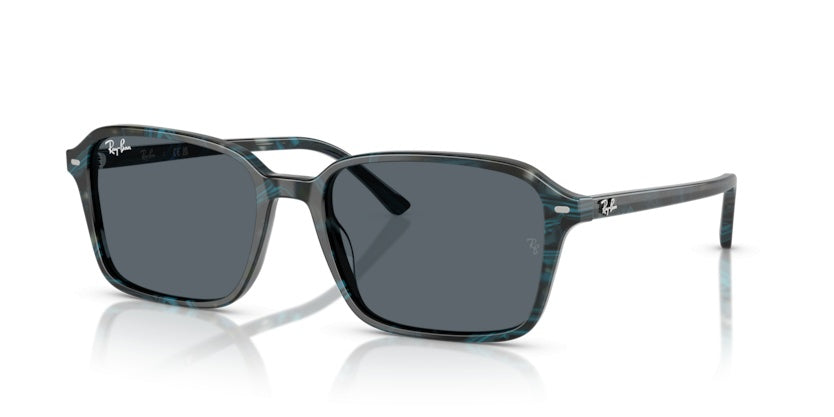 Lunettes de Soleil Ray-Ban Raimond RB2231 1417R5 56 18