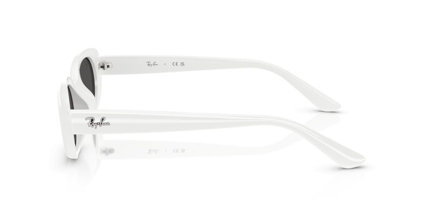 Gafas de Sol Ray-Ban RB4441D 677287 53 21