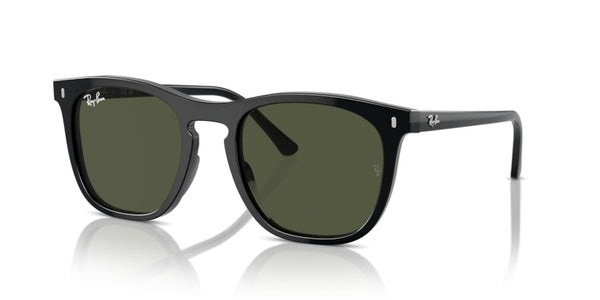 Gafas de Sol Ray-Ban RB2210 901/31 53 21