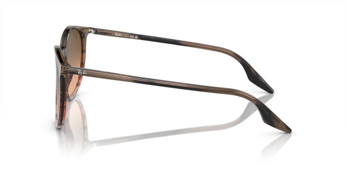 Lunettes de Soleil Ray-Ban RB2204 13953B 54 20 — vista 3
