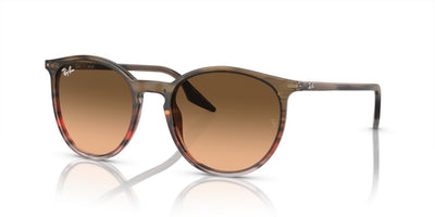 Sunglasses Ray-Ban RB2204 13953B 54 20