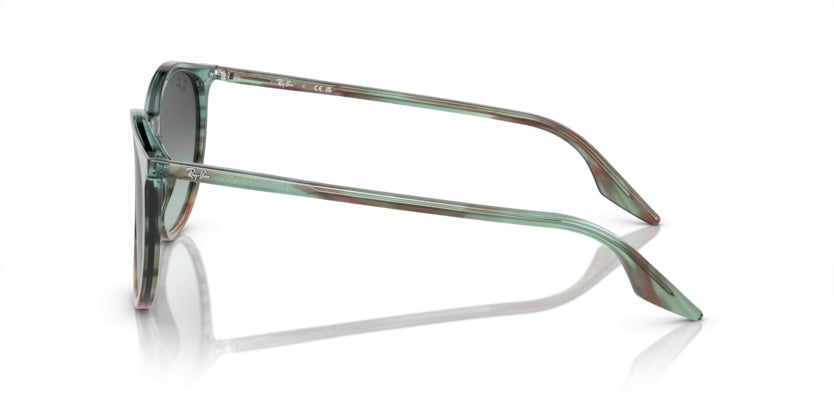 Gafas de Sol Ray-Ban RB2204 1394GK 54 20