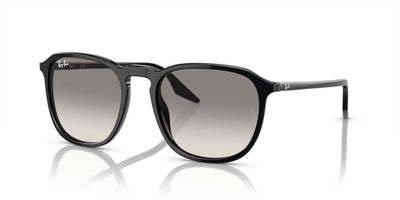 Sonnenbrillen Ray-Ban RB2203 901/32 55 20