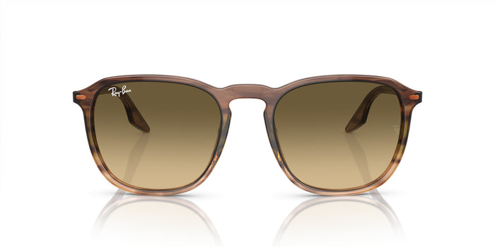 Gafas de Sol Ray-Ban RB2203 13920A 55 20 — vista 2
