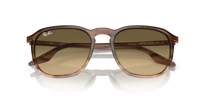 Gafas de Sol Ray-Ban RB2203 13920A 55 20 — vista 4