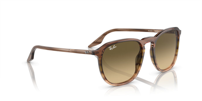 Gafas de Sol Ray-Ban RB2203 13920A 55 20 — vista 5