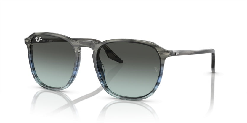 Gafas de Sol Ray-Ban RB2203 1391GK 55 20