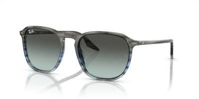 Sonnenbrillen Ray-Ban RB2203 1391GK 55 20