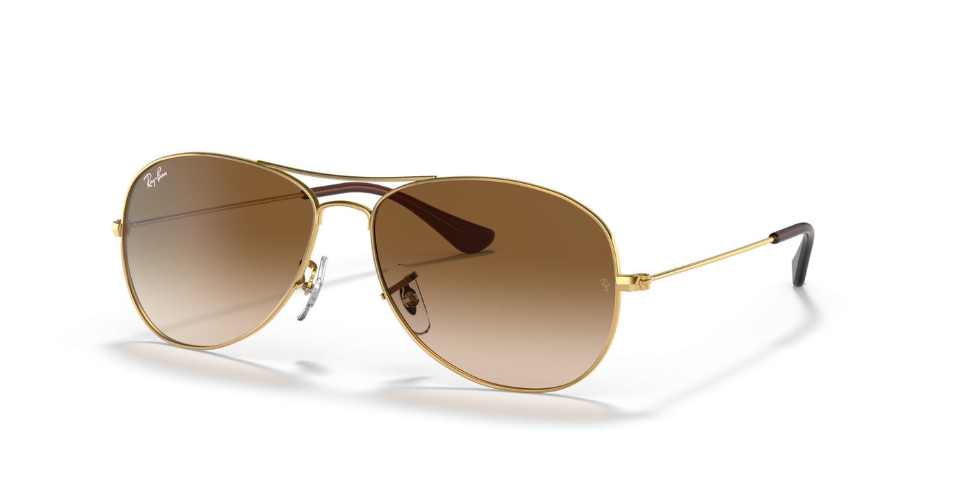 Sonnenbrillen Ray-Ban Cockpit RB3362 001/51 56 14