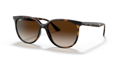 Sunglasses Ray-Ban RB4378 710/13 54 16