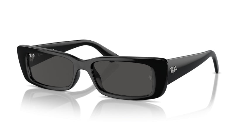 Sunglasses Ray-Ban Teru RB4425 667787 54 17