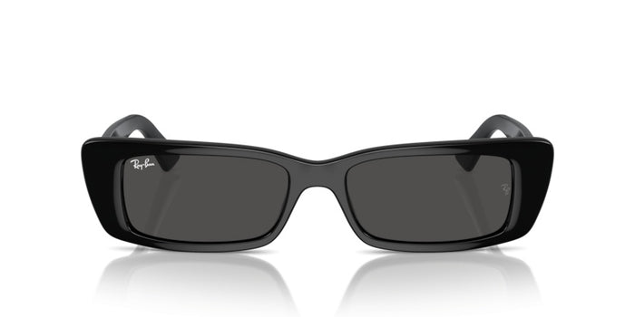 Sunglasses Ray-Ban Teru RB4425 667787 54 17 — vista 2