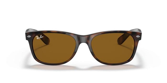 New Wayfarer — vista 2