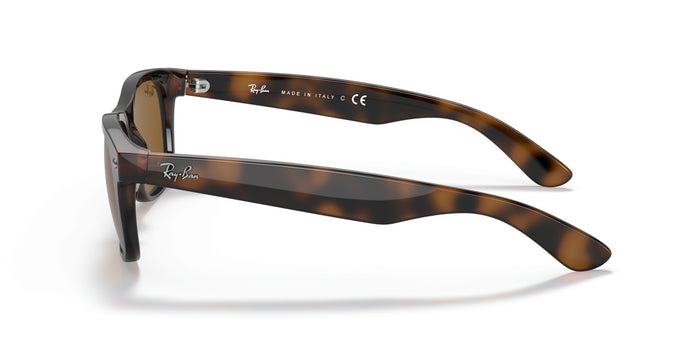 New Wayfarer — vista 3