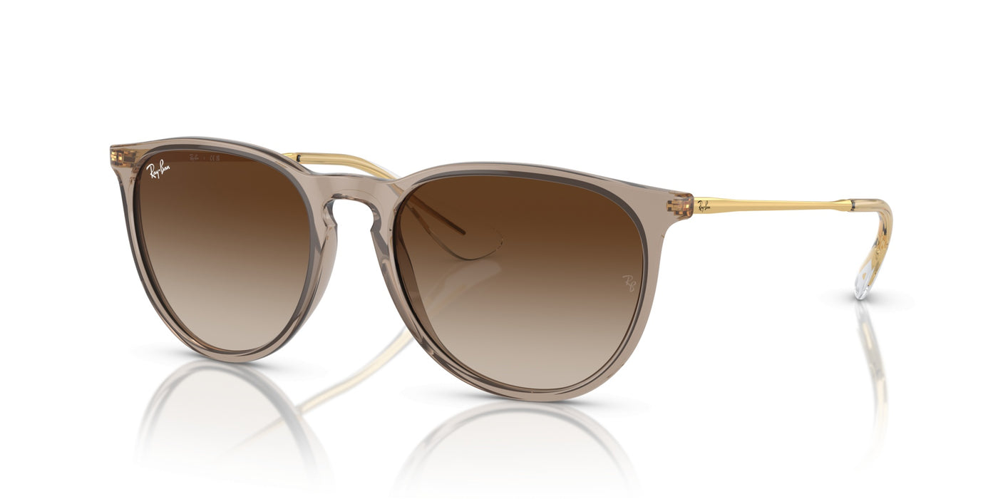 Sunglasses Ray-Ban Erika RB4171 674413 54 18